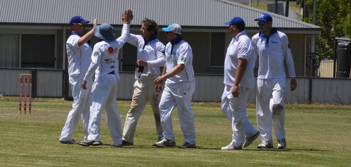 Howzat: Wingham players celebrate a wicket in the win over United last week.