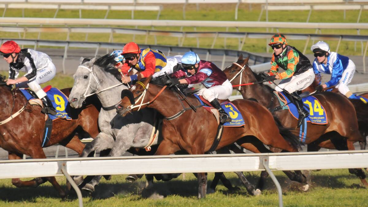 Boom filly set to fire while premier hoop chases more wins