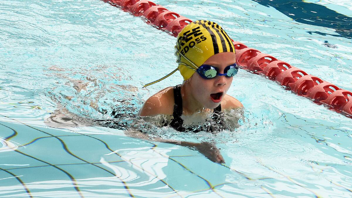 Taree swimmer April Yelacic contesting last weekend's qualifying meet at the Great Lakes Aquatic Centre, the venue for this weekend's North Coast short course (southern) titles.