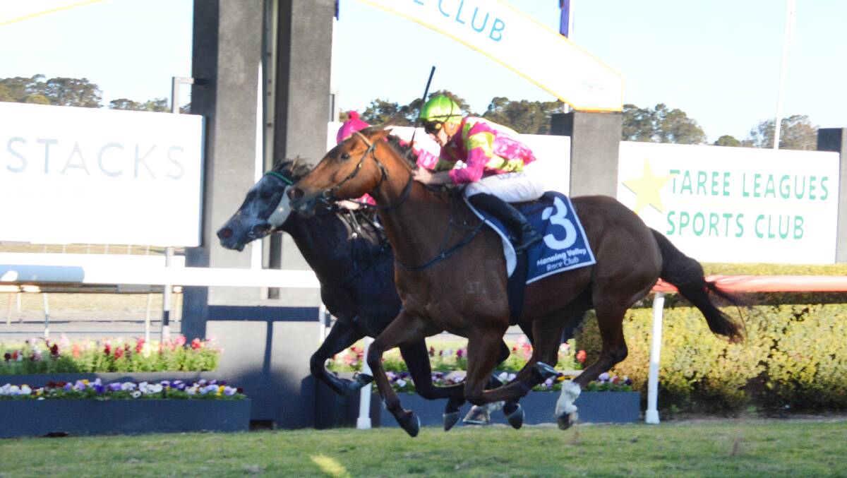 Ben Looker scores a thrilling win on Tarbert in the Hopkins Livermore Cup on the opening day of the Taree Cup Carnival.