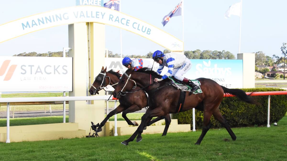 Peter Graham scores on Haames for trainer Colt Prosser at this week's Manning Valley races at Taree.