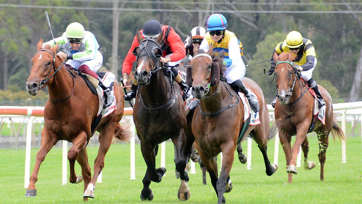 Manning Valley Race Club to host Country Championship qualifier