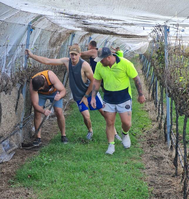 Wingham players and officials work to repair the damage at the Jacaranda Estate Winery at Wingham