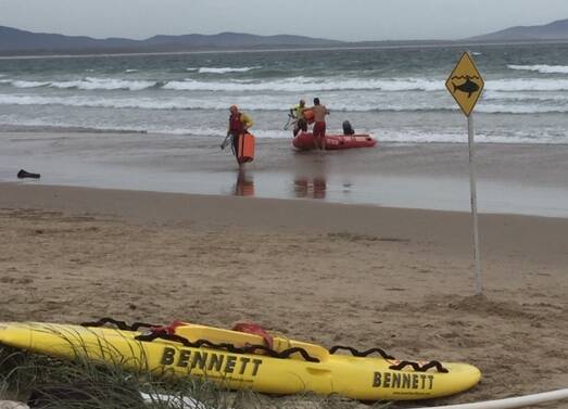 Out of the water: Crowdy Head Surf Club members patrolling in an IRB spotted a shark near swimmers on Sunday morning. The beach was closed immediately.