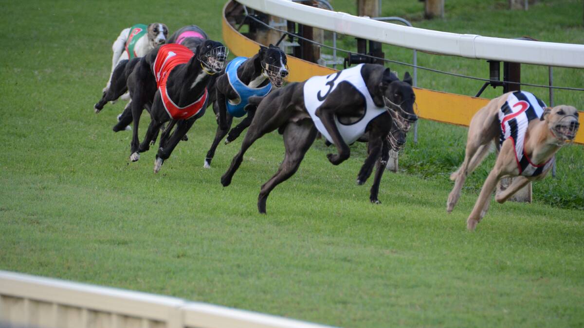 Tatum closes in on Guided Soul to win the Taree Cup run on Wednesday at BBet Park at Taree.