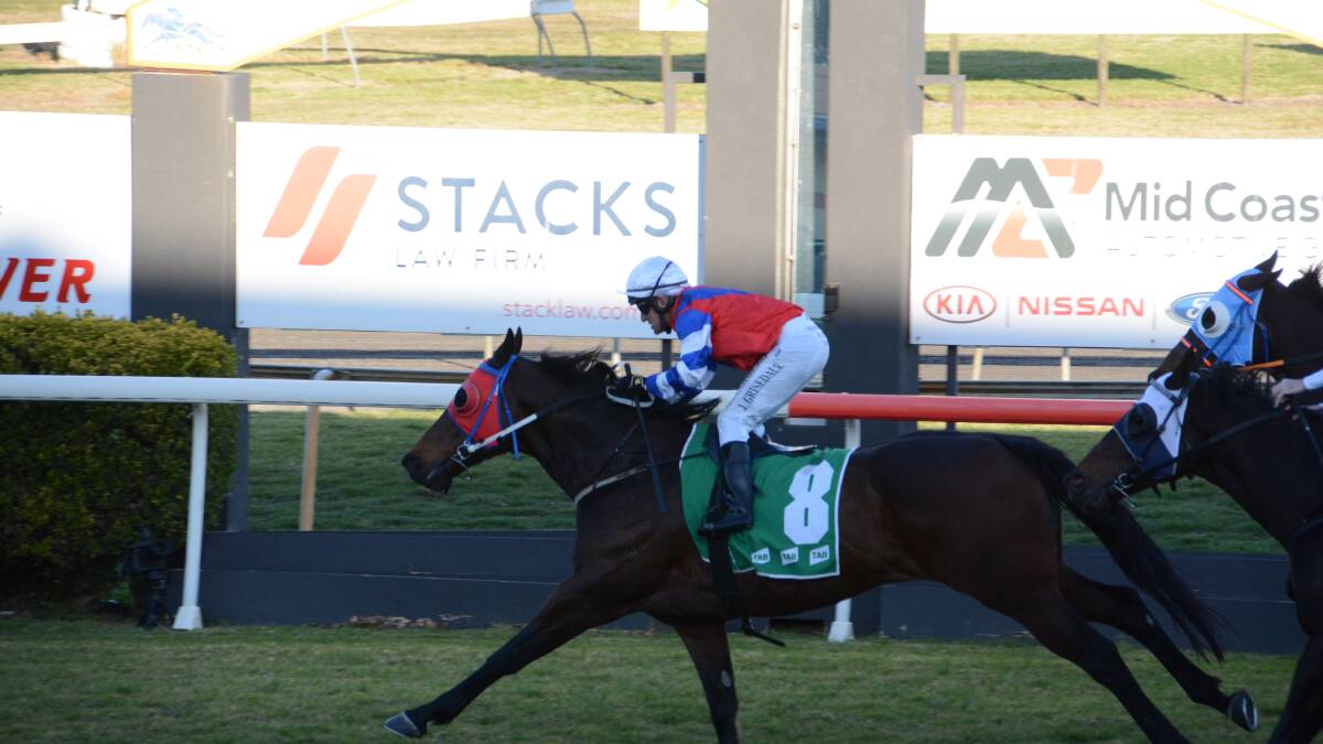 Jon Grisdale guides Mister McIlroy to the post to win the Hopkins Livermore Cup on the opening day of Manning Valley Race Club's Cup Carnival.