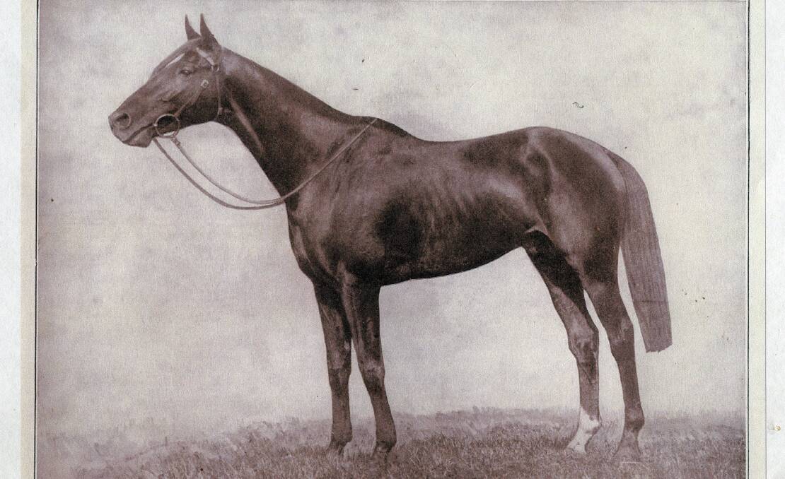 The mighty Poitrel, winner of the 1920 Melbourne Cup and trained by Harry Robinson.