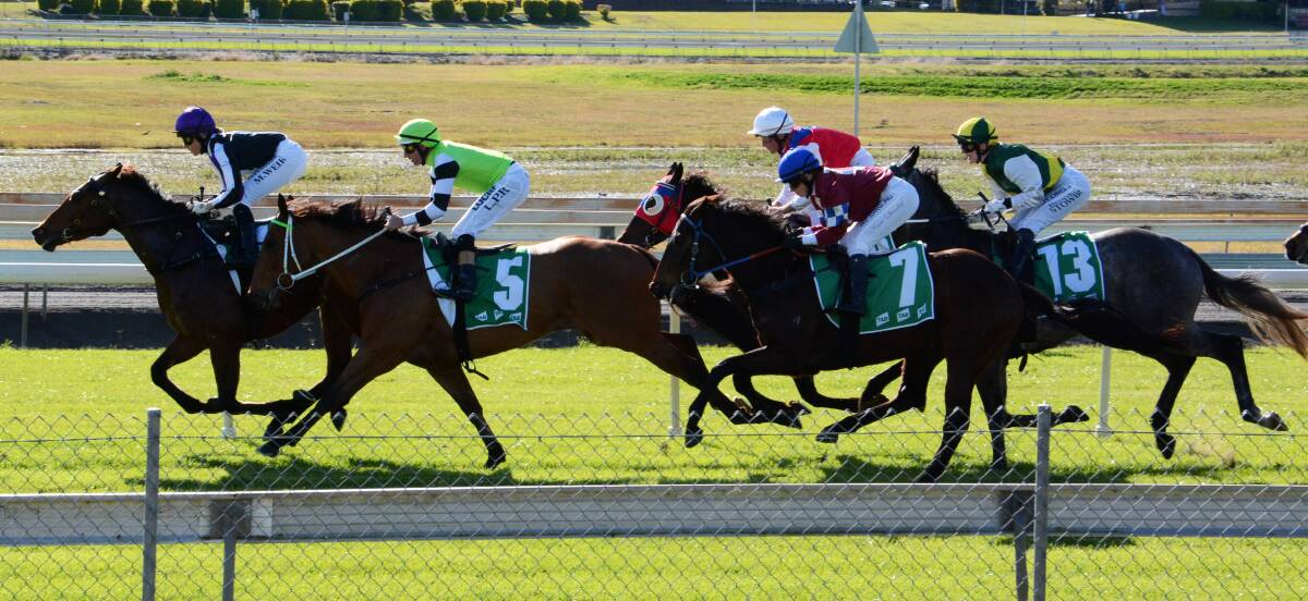 Eventual winner Honovi (No 5), ridden by Luke Rolls, moves into position in the home straight to challenge the leader in the Tooheys Extra Dry Maiden at the Manning Valley races this week.