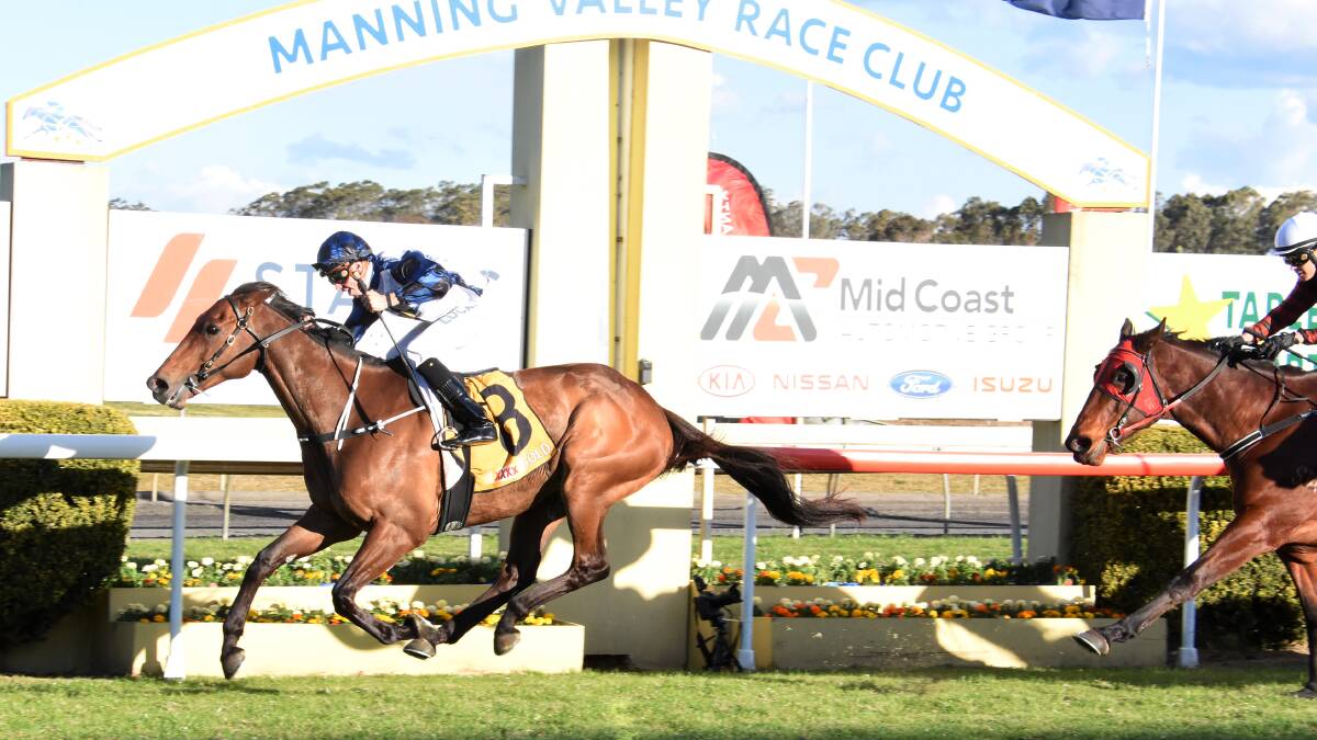  Shalmaneser scores a slashing win in last year's Taree Gold Cup for trainer Richard Freedman.