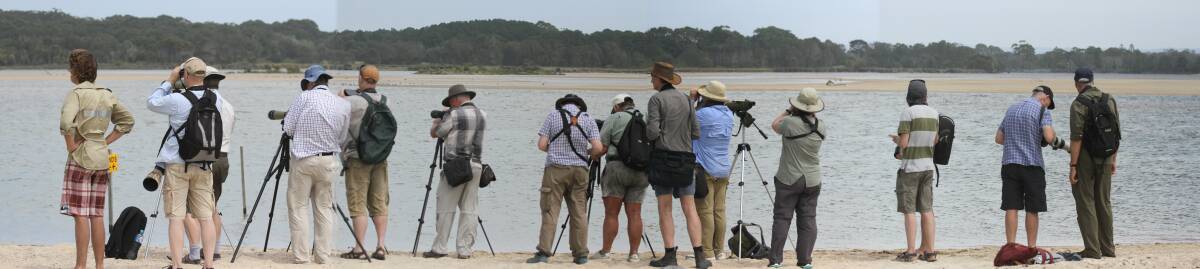 After word got out to the birding community, the whos who of Australian birders travelled to see these birds. Credit: Joy Tansey.