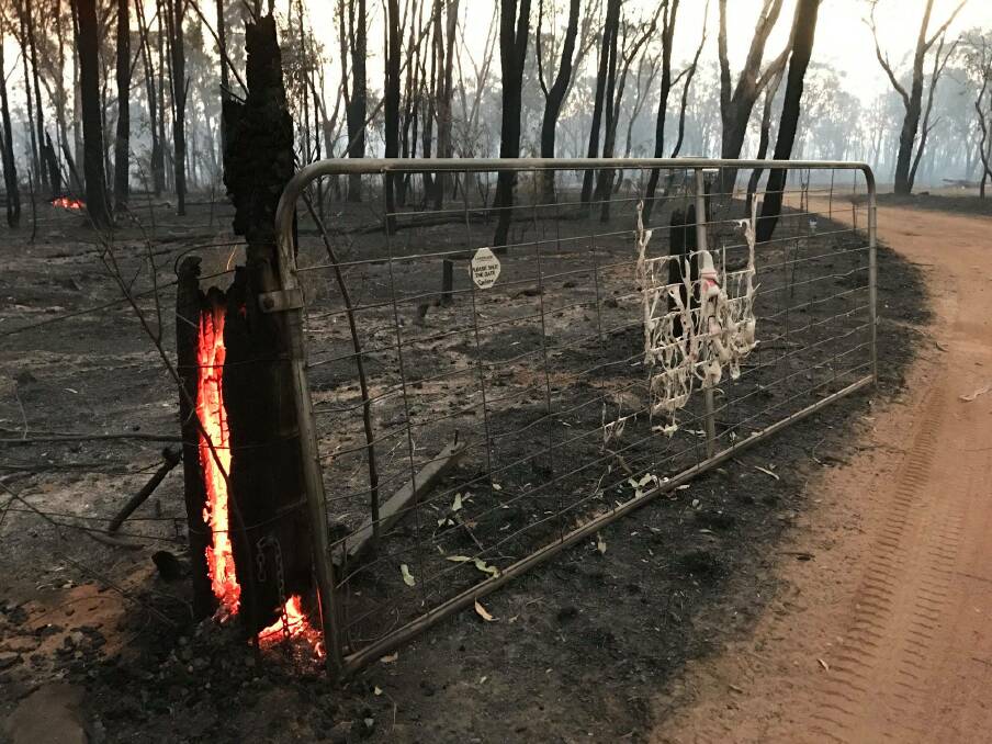 Farmland burnt in bushfires on the Northern Tablelands, February 2019 Source - LLS