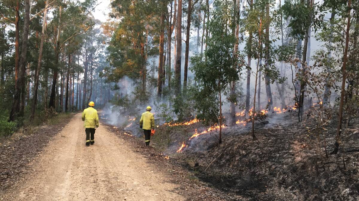 Forestry Corporation staff at their hazard reduction burn in Bulls Ground State Forest, near Herons Creek on Saturday. Photos by Shane Dickinson. 