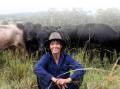 Regenerative farmer, Rachel Ward with her herd of cattle. Picture supplied