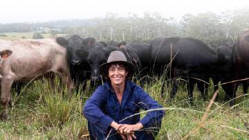 Regenerative farmer, Rachel Ward with her herd of cattle. Picture supplied