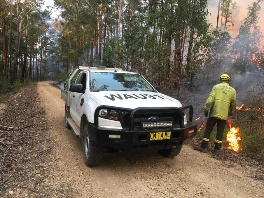 Forestry Corporation staff at their hazard reduction burn in Bulls Ground State Forest, near Herons Creek on Saturday. Photos by Shane Dickinson. 
