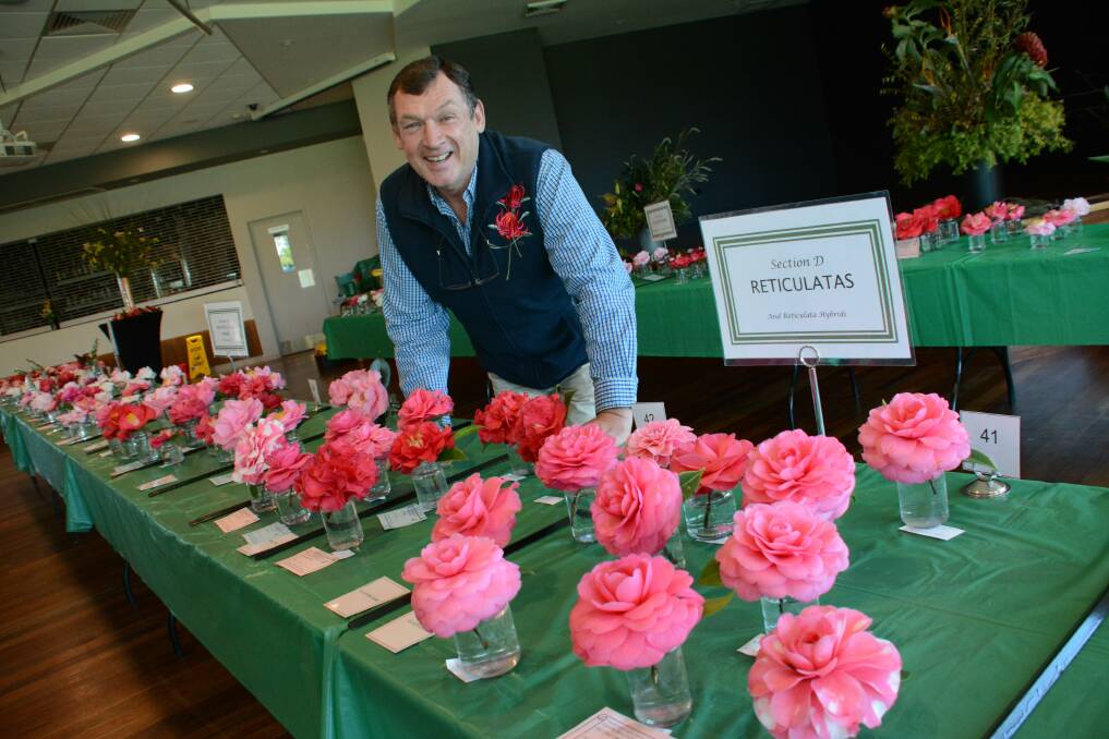 President of the Garden Clubs of Australia, George Hoad is a special guest at the Taree Camellia Show official opening.