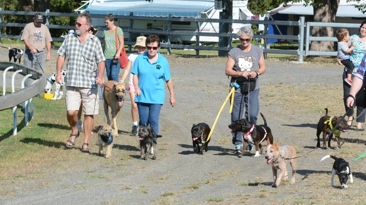 The Millions Paws Walk returns on May 26. 