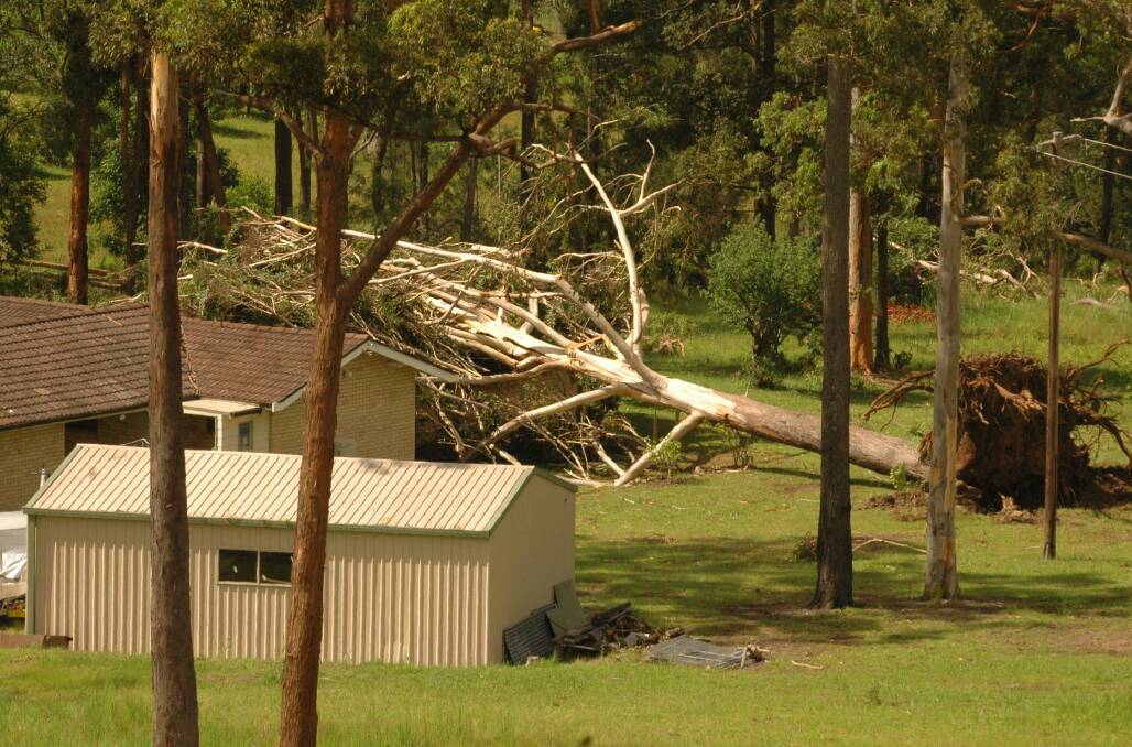 Damage from a storm that hit Tallwoods and Redhead in 2005.