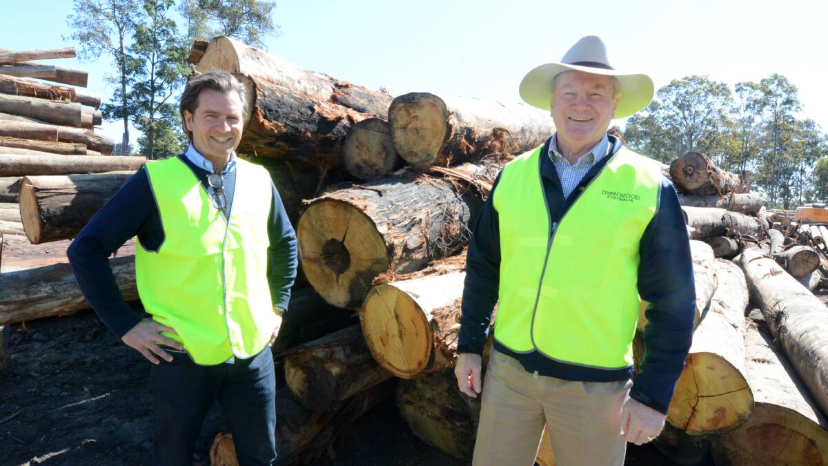Myall Lakes MP Stephen Bromhead, pictured at Ironwood Australia mill last month, says the National Party will introduce a bill to the Legislative Assembly to repeal the State Environmental Planning Policy Koala Habitat Protection.