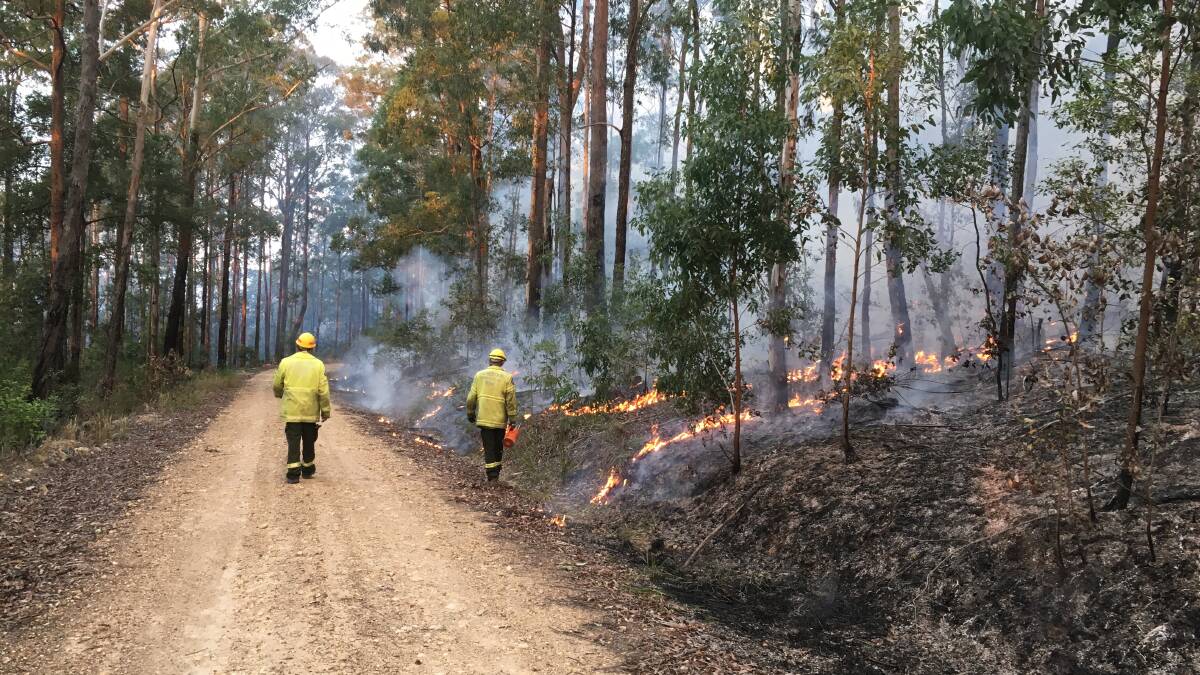 Forestry Corporation staff at their hazard reduction burn in Bulls Ground State Forest, near Herons Creek on Saturday. Photos by Shane Dickinson.
