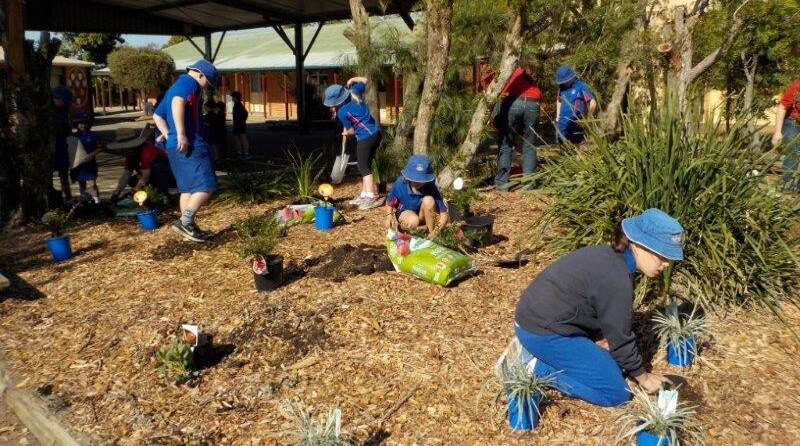 Year four students worked hard to plant the trees. 