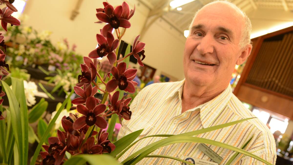 Rob Wells with his winning Radiant Ruby orchid at the Manning River Orchid Society's spring show.