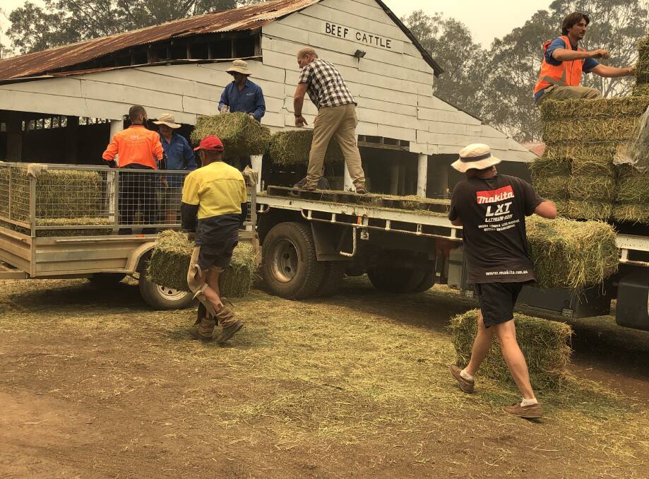 Fodder being distributed at Wingham Showground. Photo supplied