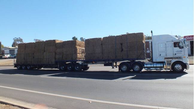 Hay is coming from South Australia and freight costs are two and a half times more than the hay.