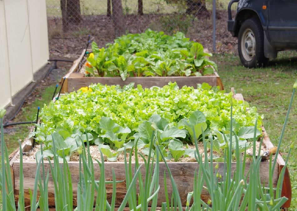 Taree Community Garden, which recently relocated to the Taree PCYC, has in the past received funding under council's donations program.