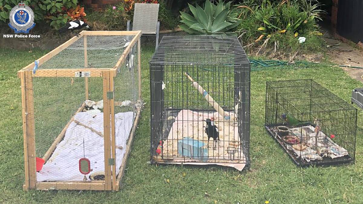 Police have released the above photograph of birds found at a Tuncurry home.