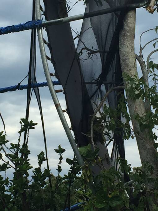 SES crew members worked to remove this trampoline wedged in a tree after Tuesday afternoon's storm at Chatham.