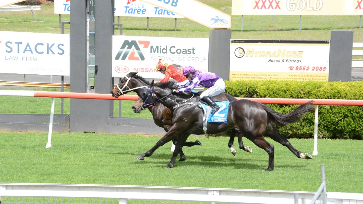 Four-year-old mare Luftwaffe, trained at Port Macquarie by John Sprague and ridden by Coffs Harbour jockey Raymond Spokes, won the third race on the program at Taree on Melbourne Cup Day.