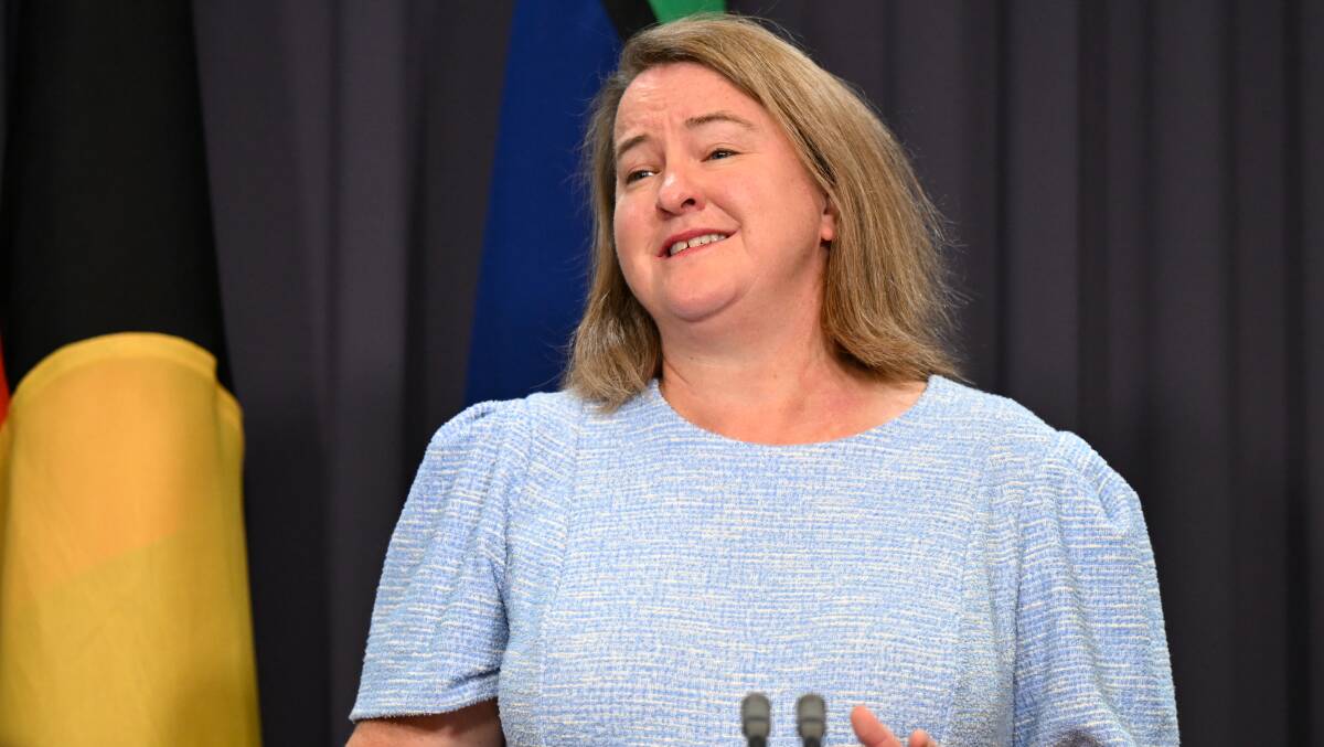 Workplace Gender Equality Agency CEO Mary Wooldridge. Picture AAP