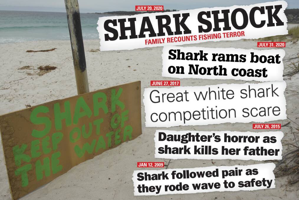 Sharks down south: a brief history of attacks and close encounters