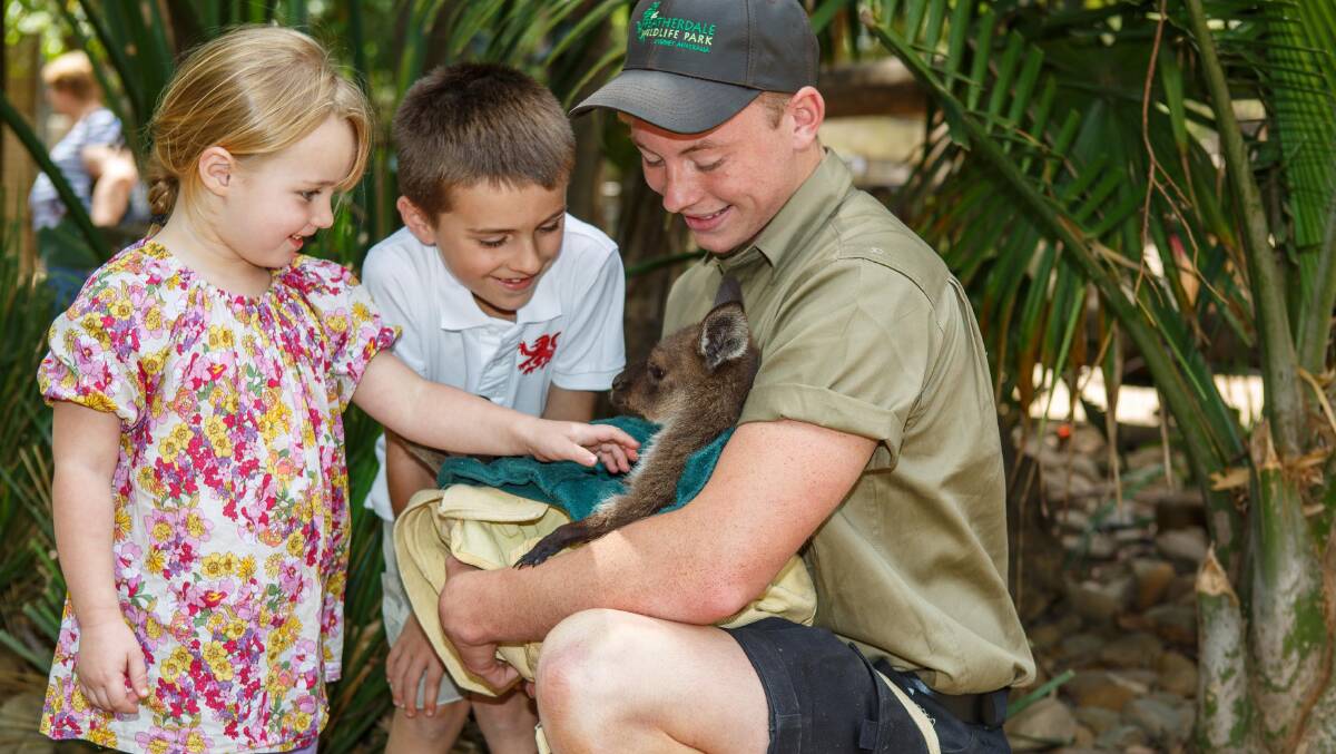 Featherdale Wildlife Park … get up close with a favourite Australian native animal. 