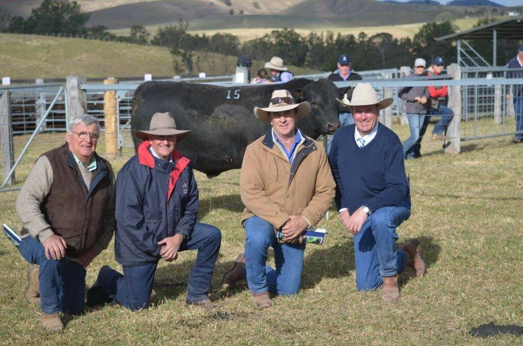 Second priced lot at $28,000 Knowla McCaw M20 Lot 15 with Greg Chappell Dulverton Angus, Ted Laurie Knowla, John Sylvester Five Star Angus and auctioneer Paul Dooley (L to R)