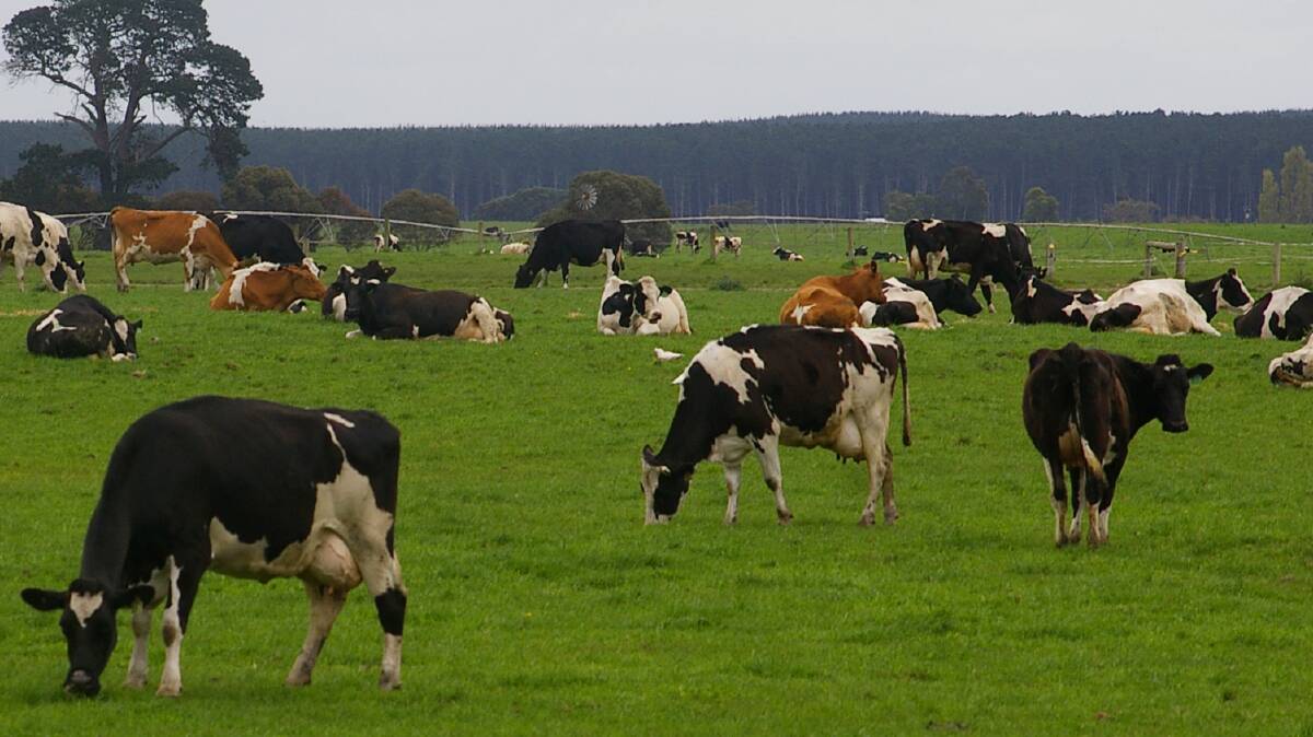 Favourable seasonal conditions and near-record milk prices have lifted dairy farm profitability in Australia.