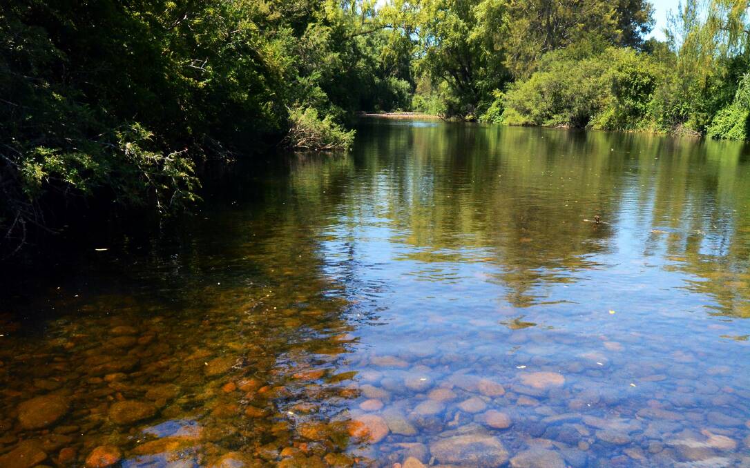 The Barrington River is one of the feeder water sources for the MidCoast region's water supply. 