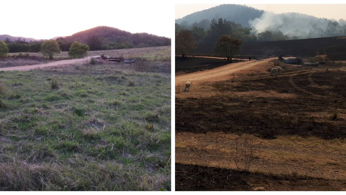 Before and after the fire - the house paddock at Emily and Simon's property