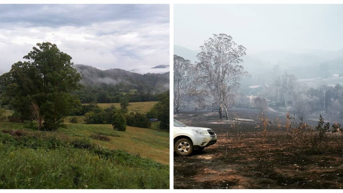 Before and after the fire - the east hill at Emily and Simon's property