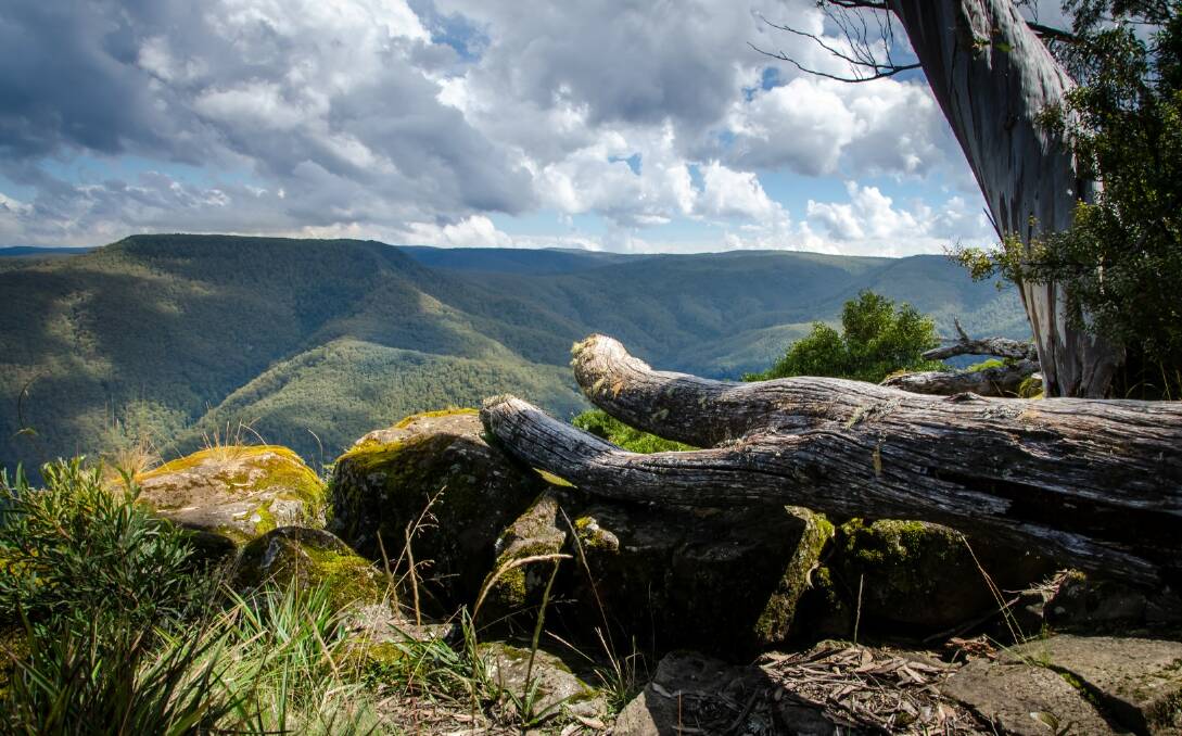 View at Gloucester Tops in the Barrington Tops National Park. Photo courtesy of National Parks and Wildlife Service