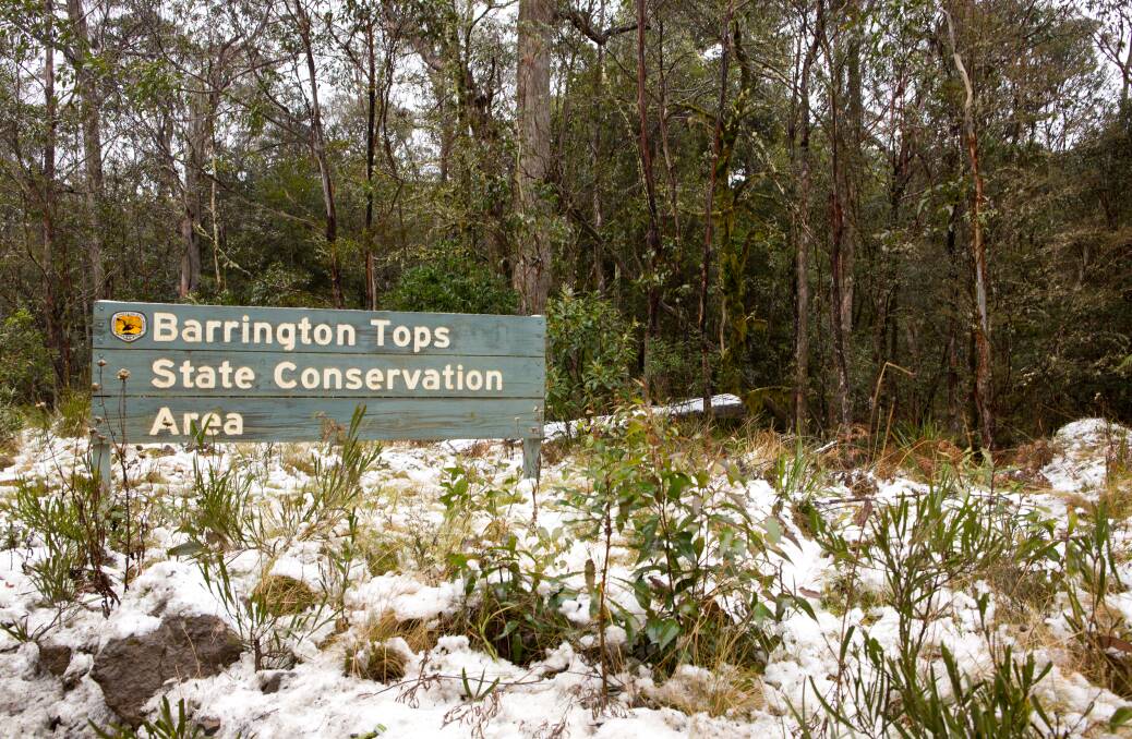 Snow chasers warned to avoid Barrington Tops due to major structural damage to access road