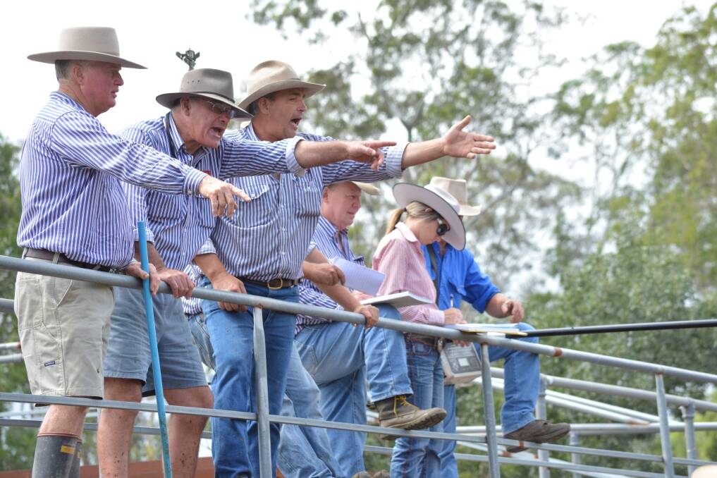 Gooch Agencies became the sole operator permitted to sell cattle at the regular store sales, held on the second and fourth Thursday of the month in 2013/2014.
