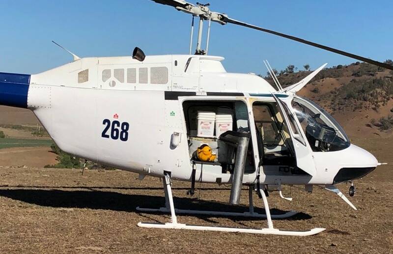 Aerial baiting is combined with ground baiting. Photo courtesy of Hunter Local Land Services.