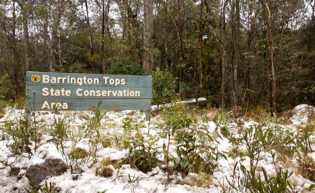 Snow chasers reminded - no access to Barrington Tops from Gloucester