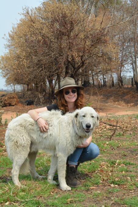 Emily Little with one of her Maremma Sheepdogs, Bear, known as a Livestock Guardian dog. Photo Anne Keen 