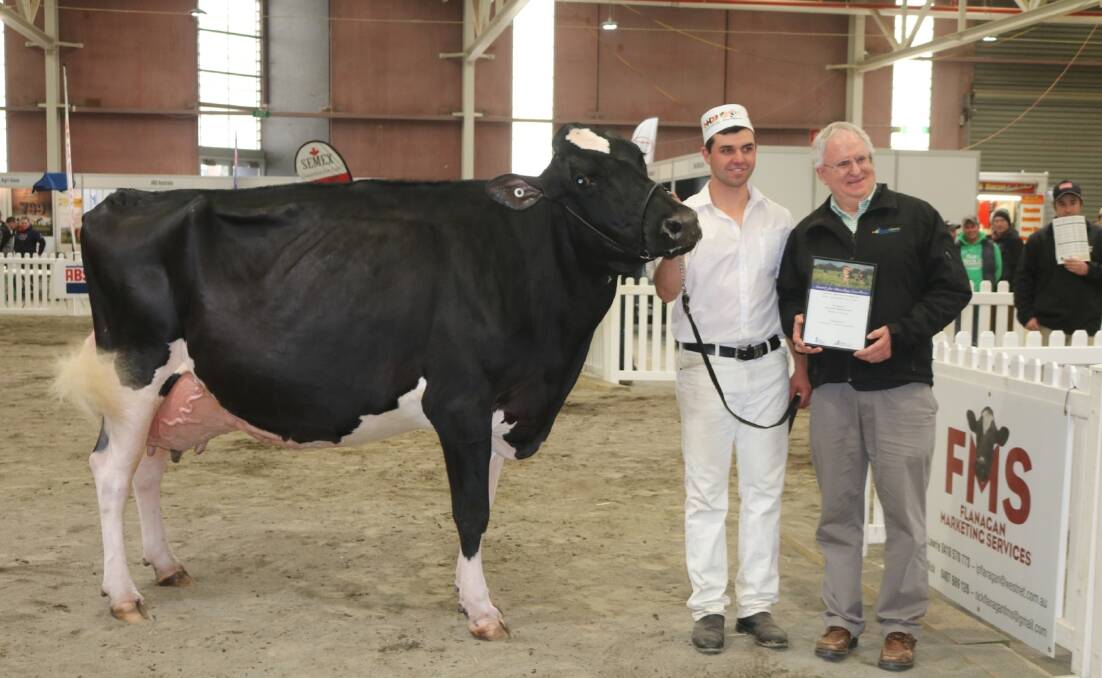 Peter Williams (DataGene) presents handler Cameron Yarnold and Mario Park Sid Alicia Ex-92-2 the award for the 2018 Winter Fair. Photo Sophie Baldwin
 