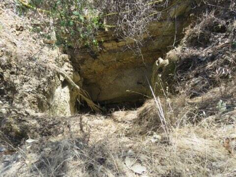 The mine shaft in which the wallaby became stuck. Picture: SUPPLIED