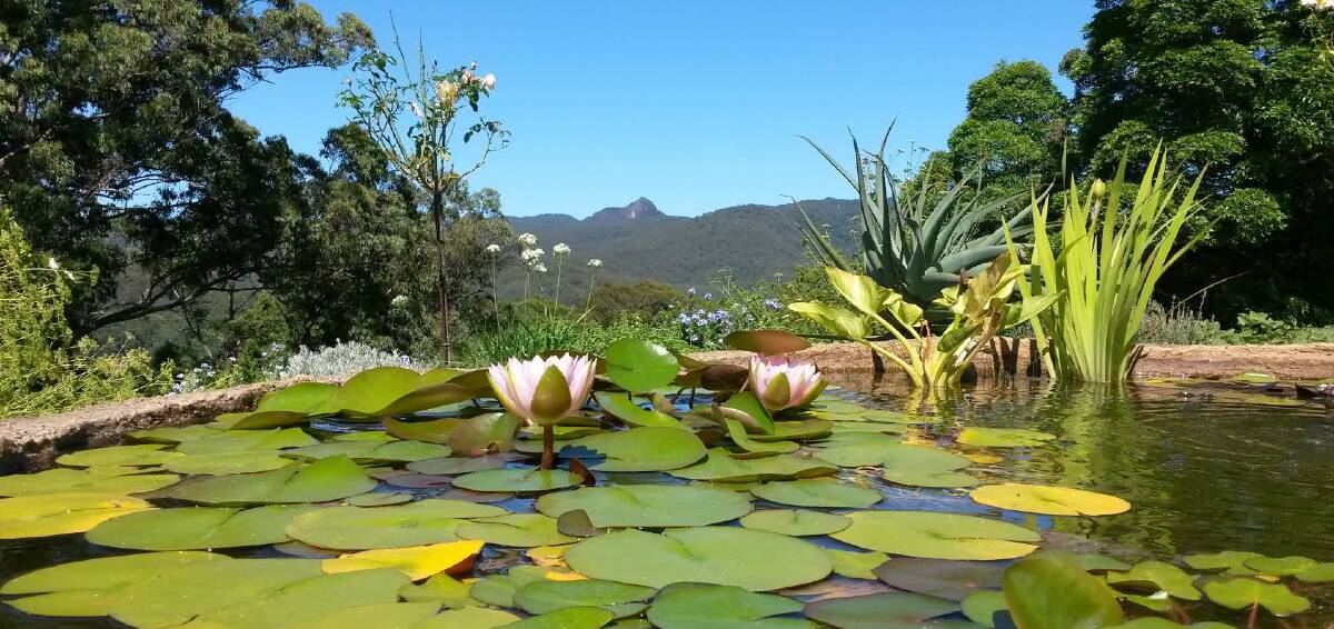 Beautiful: Hannam Vale Open Garden Day will have a collection of private country gardens open for just six hours this Sunday, October 23 for you to visit at your leisure.
