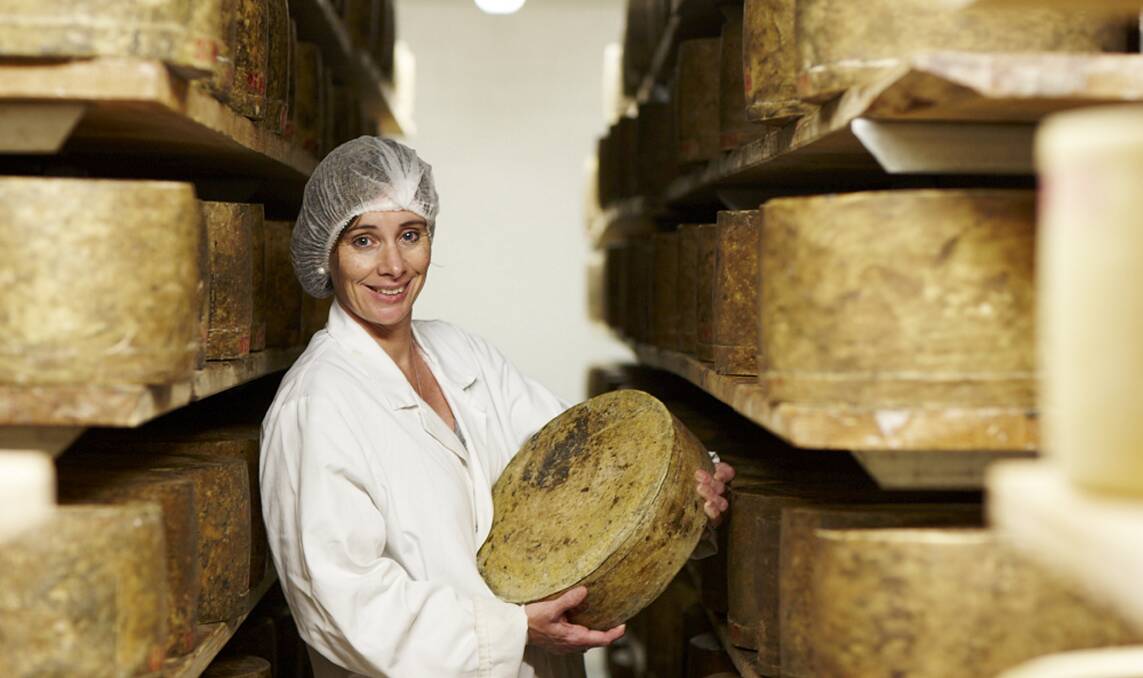 Lyndall Healey in the Pyengana Dairy Cheese Cellar, where the fine blocks are aged in a process that's been used for thousands of years.